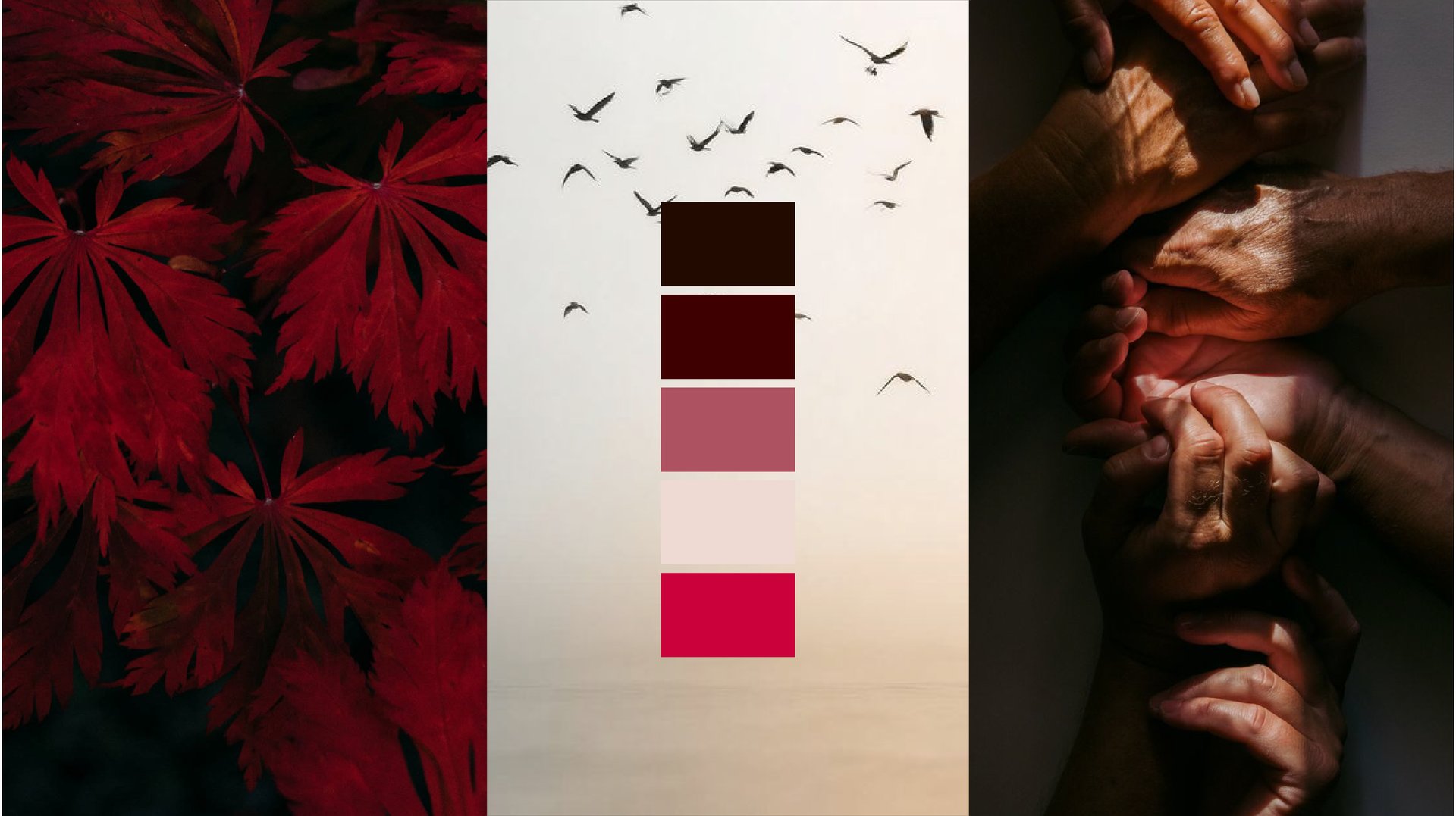 Moodboard da marca Lina Valléria com paleta de cores, folhas vermelhas e fotografia de mãos